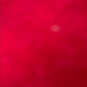 Meet your Posher, Maribel